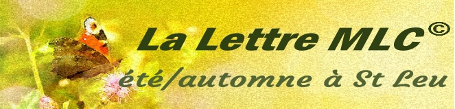 LETTRE MLC ETE/AUTOMNE